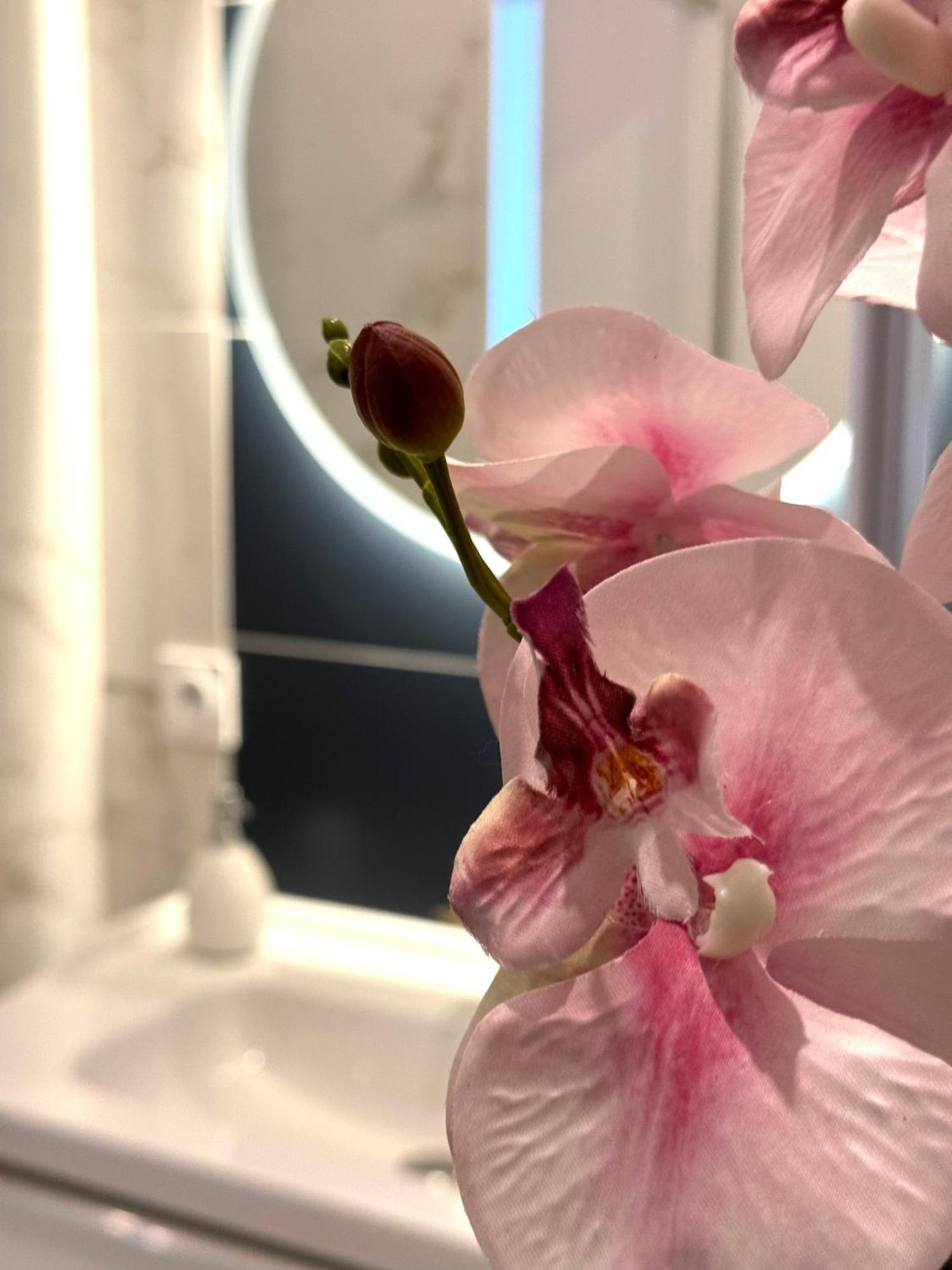 G1 Familial Lumineux Rdc Centre Apartment Angouleme